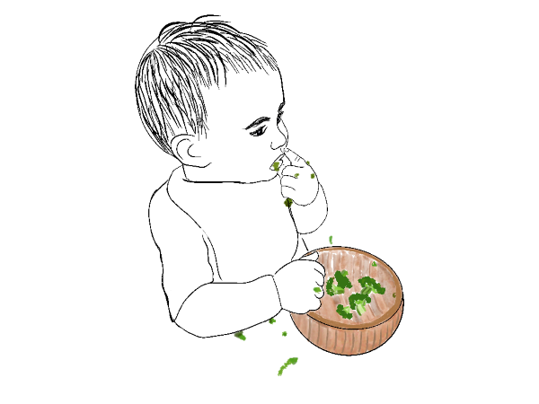 Beikost